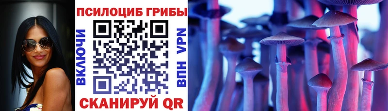 MEGA маркетплейс  Тимашёвск  Псилоцибиновые грибы мухоморы 