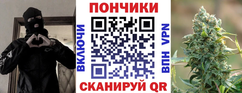 Шишки марихуана конопля Тимашёвск